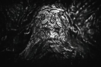 cover |ˈkəvər| cover |ˈkəvər|