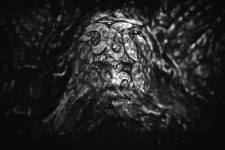 cover |ˈkəvər| cover |ˈkəvər|