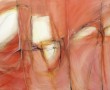 rechthoek met inzicht 131 Kunstwerk rechthoek met inzicht 131