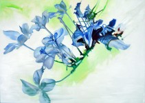 floral dynamic floral dynamic