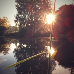 sunny beam sunny beam