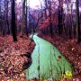 redwood greenlane Kunstwerk redwood greenlane
