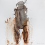 I AM GOING Kunstwerk I AM GOING