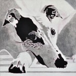Mister X - Portrait of a Greyhound 3 Mister X - Portrait of a Greyhound 3