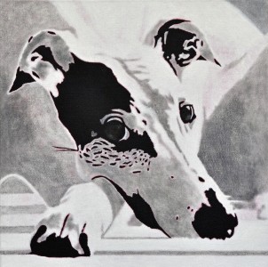 Mister X - Portrait of a Greyhound 3 Mister X - Portrait of a Greyhound 3