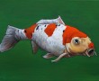 koi 1 Kunstwerk koi 1