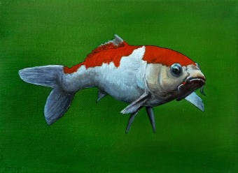 koi2 koi2