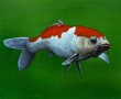koi2 Kunstwerk koi2