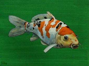 koi3 koi3