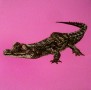 Kunstwerk alligator