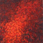 zwart-rood zwart-rood