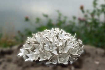 PORSELEIN ALS FLUWEEL PORSELEIN ALS FLUWEEL
