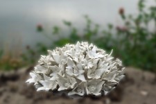 PORSELEIN ALS FLUWEEL PORSELEIN ALS FLUWEEL
