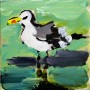 Meeuw Kunstwerk Meeuw