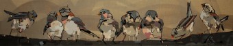 Birdiesss Birdiesss