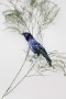 Corvus Hawaiiensis Kunstwerk Corvus Hawaiiensis