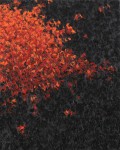 rood-zwart rood-zwart