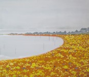 Yellow bay Yellow bay
