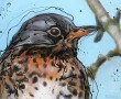 Fieldfare Kunstwerk Fieldfare