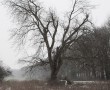 Vermist (9) Kunstwerk Vermist (9)