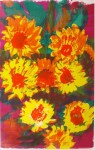 Sonnenblumen Sonnenblumen