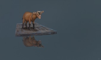 THE FLOOD THE FLOOD