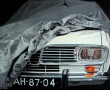Renault 16 Kunstwerk Renault 16