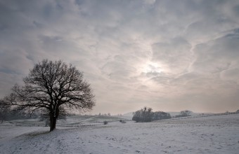 Winter Light Winter Light