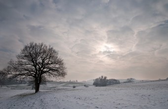 Winter Light