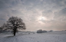 Winter Light Winter Light