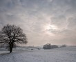Winter Light Kunstwerk Winter Light