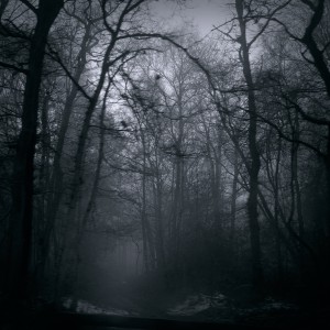 Mist Mist