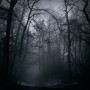 Mist Kunstwerk Mist