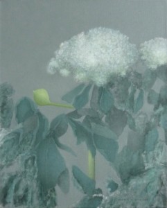 Hortensia Hortensia