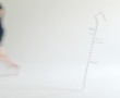Walking Stick Kunstwerk  Walking Stick