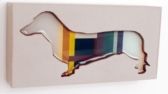 Dachshund 31 Dachshund 31