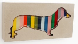 Dachshund 32 Dachshund 32