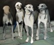 4 Whippets Kunstwerk 4 Whippets
