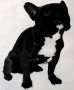 French Bulldog II Kunstwerk French Bulldog II