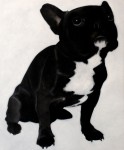 French Bulldog II French Bulldog II