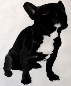 French Bulldog II French Bulldog II