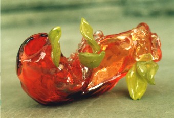 Groeinknol Groeinknol