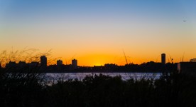 Jersey NY Jersey NY