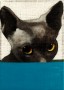 Miss Kitty I Kunstwerk Miss Kitty I