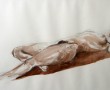 Naakt Kunstwerk Naakt