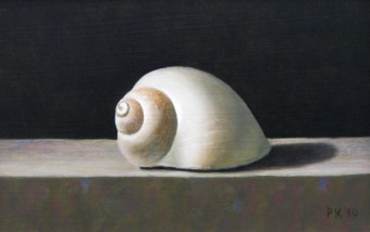 Schelp 2 Schelp 2
