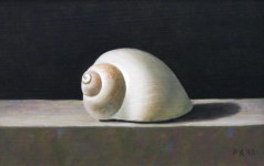 Schelp 2 Schelp 2