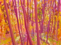 Fluor Magenta Foliage Fluor Magenta Foliage