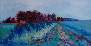 Gronings Landschap Gronings Landschap