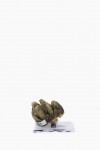 Wildlife Trade 2 Wildlife Trade 2